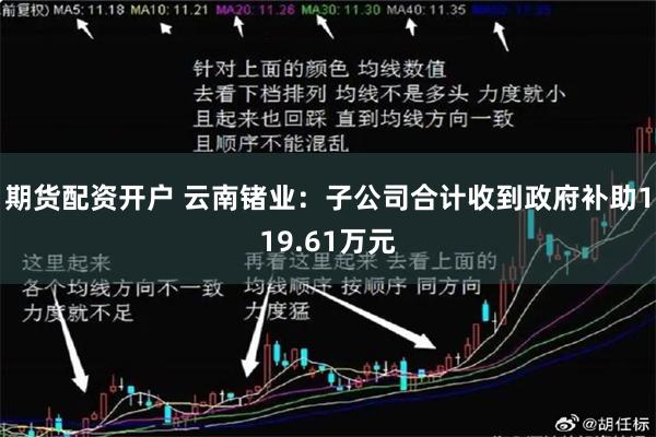 期货配资开户 云南锗业：子公司合计收到政府补助119.61万元