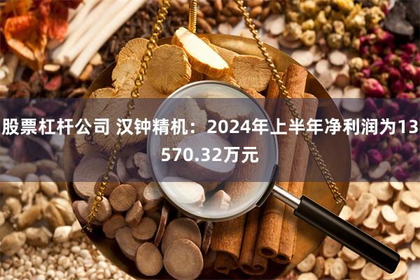 股票杠杆公司 汉钟精机：2024年上半年净利润为13570.32万元