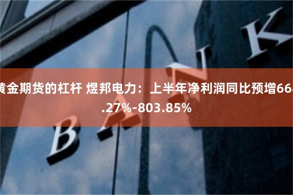 黄金期货的杠杆 煜邦电力：上半年净利润同比预增668.27%-803.85%