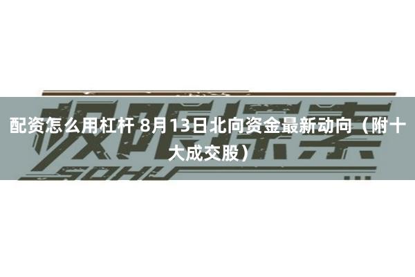 配资怎么用杠杆 8月13日北向资金最新动向（附十大成交股）