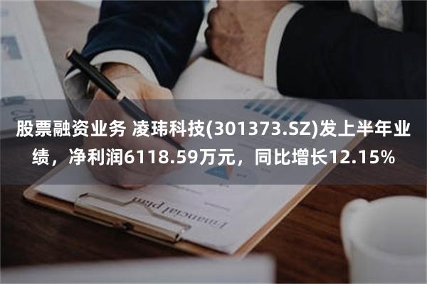 股票融资业务 凌玮科技(301373.SZ)发上半年业绩，净利润6118.59万元，同比增长12.15%