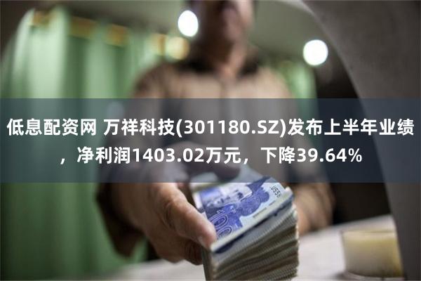 低息配资网 万祥科技(301180.SZ)发布上半年业绩，净利润1403.02万元，下降39.64%