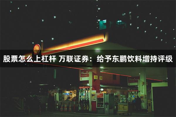 股票怎么上杠杆 万联证券：给予东鹏饮料增持评级