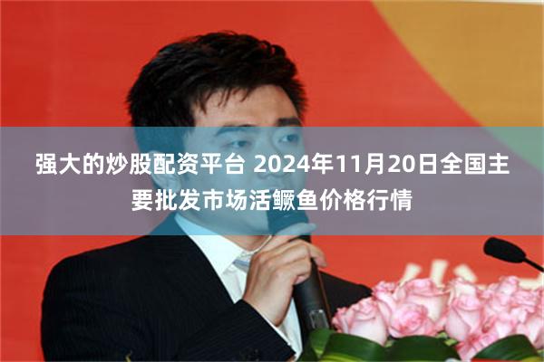 强大的炒股配资平台 2024年11月20日全国主要批发市场活鳜鱼价格行情