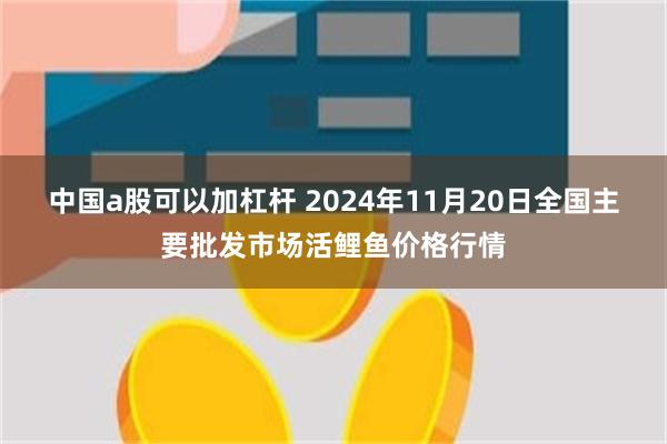 中国a股可以加杠杆 2024年11月20日全国主要批发市场活鲤鱼价格行情