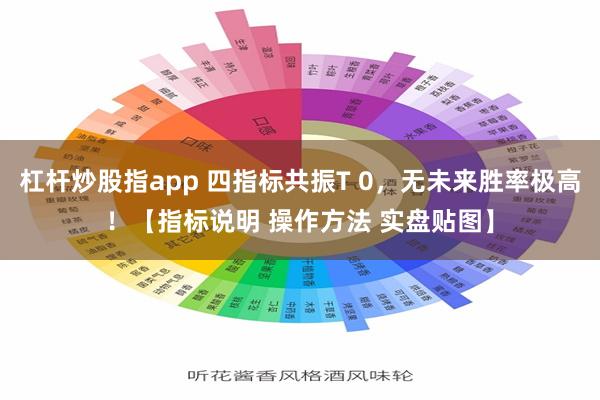 杠杆炒股指app 四指标共振T 0，无未来胜率极高！【指标说明 操作方法 实盘贴图】