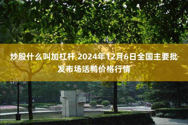 炒股什么叫加杠杆 2024年12月6日全国主要批发市场活鸭价格行情