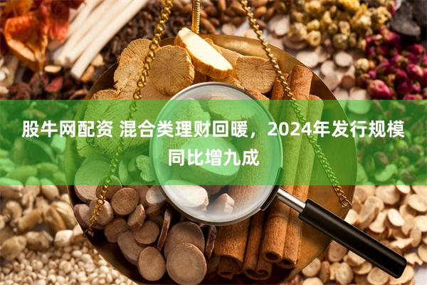 股牛网配资 混合类理财回暖，2024年发行规模同比增九成