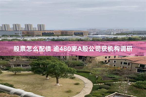 股票怎么配债 逾480家A股公司获机构调研