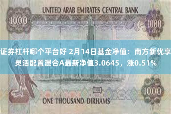 证券杠杆哪个平台好 2月14日基金净值：南方新优享灵活配置混合A最新净值3.0645，涨0.51%