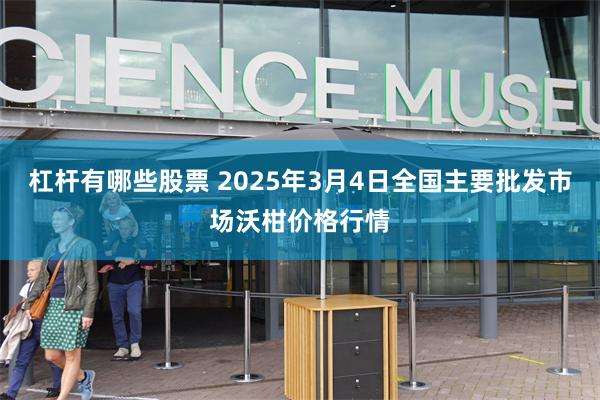 杠杆有哪些股票 2025年3月4日全国主要批发市场沃柑价格行情